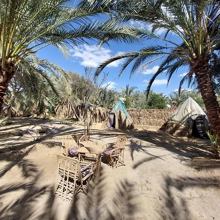 Forest Camp Siwa - كامب الغابة Siwa Oasis Exterior photo