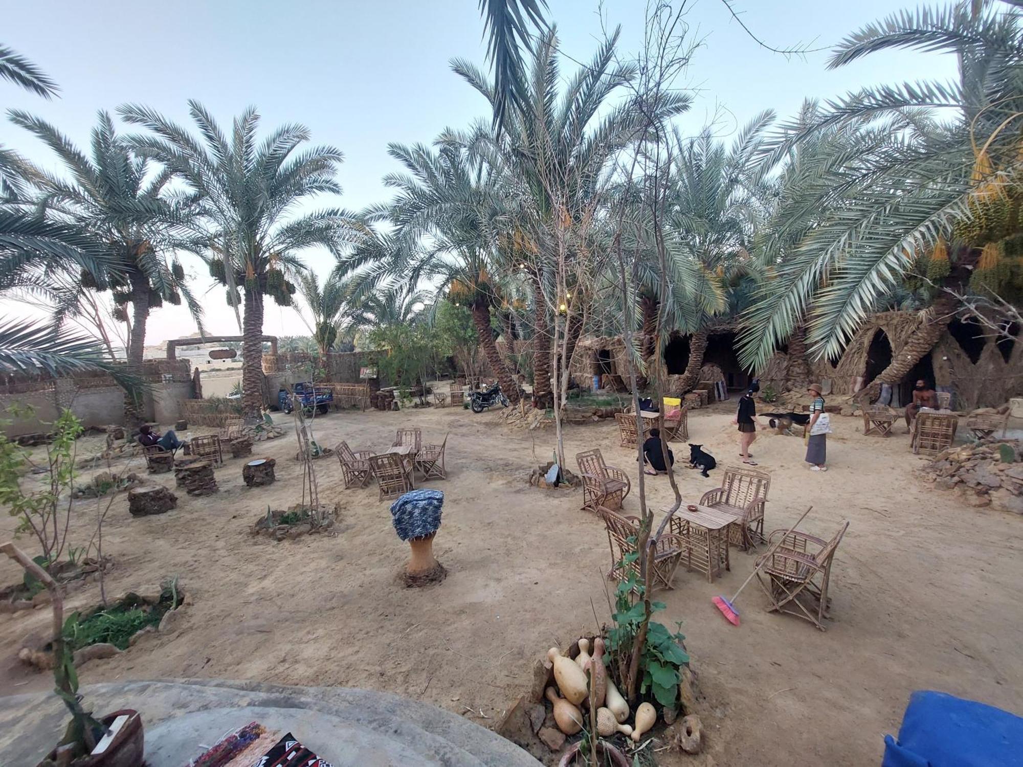 Forest Camp Siwa - كامب الغابة Siwa Oasis Exterior photo