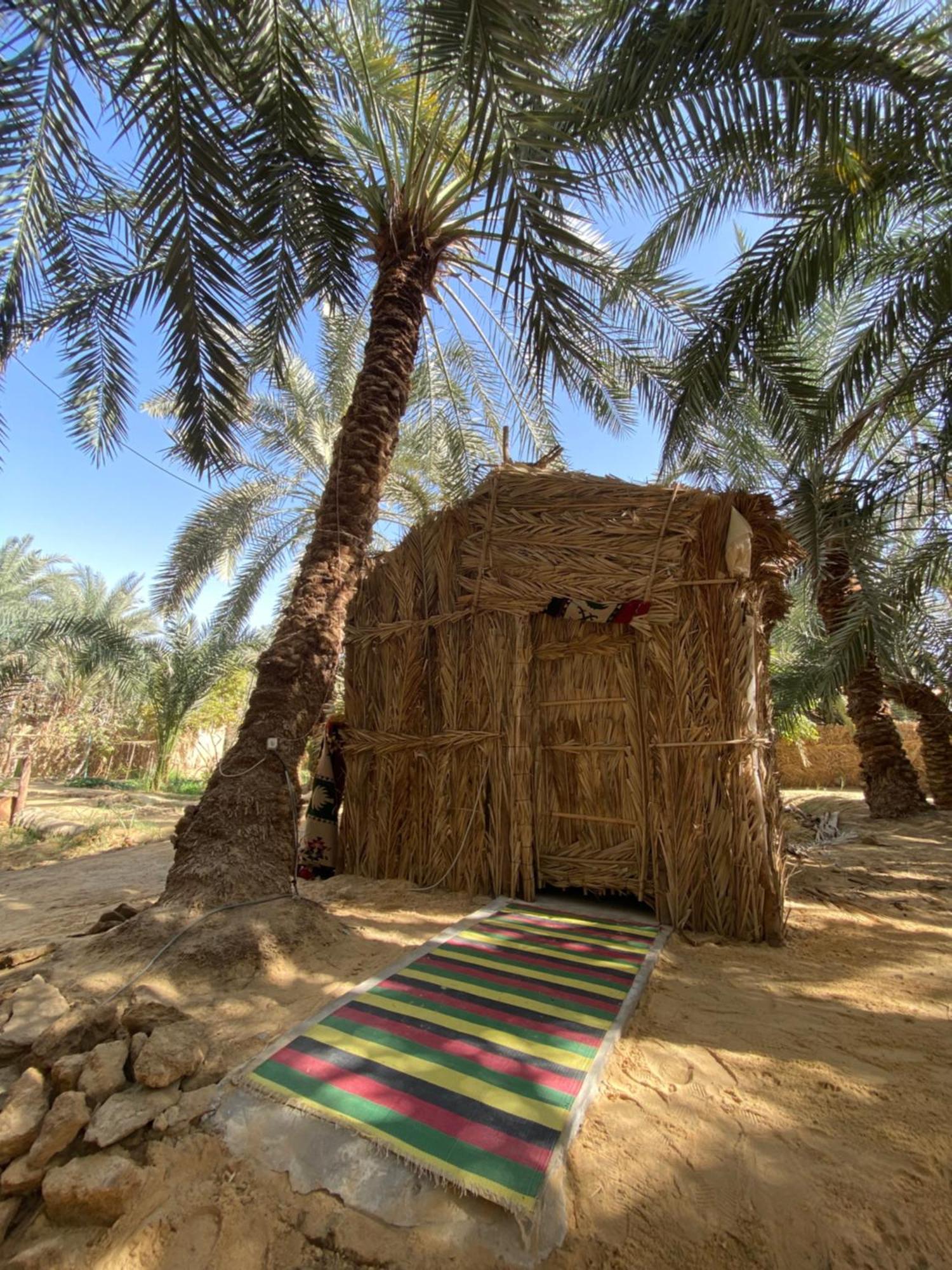 Forest Camp Siwa - كامب الغابة Siwa Oasis Exterior photo