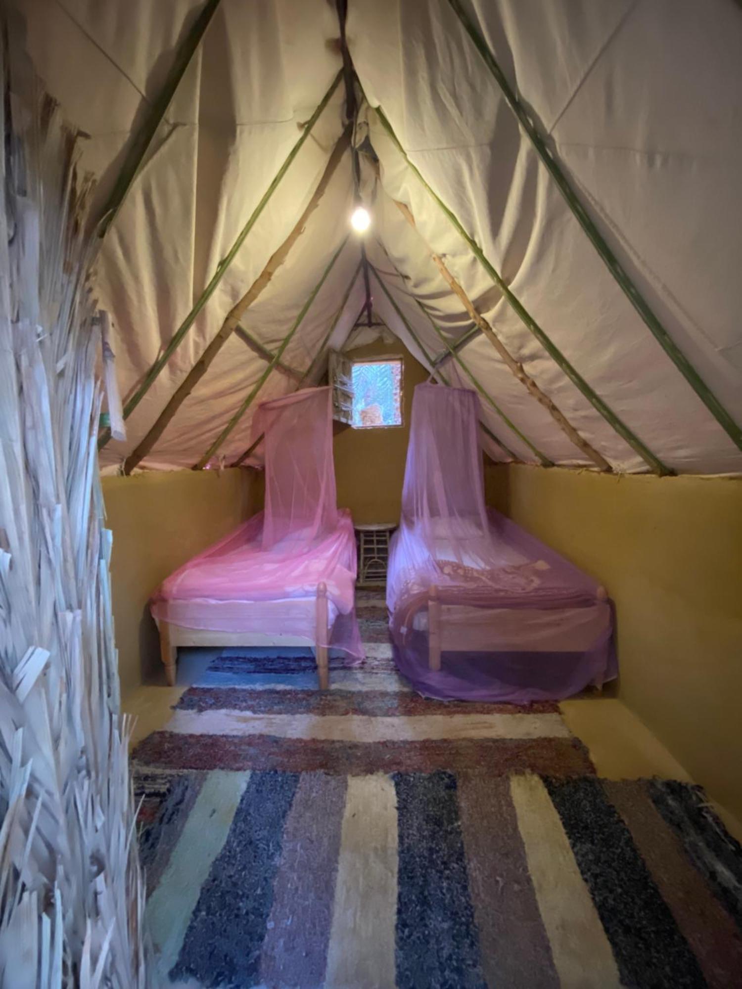 Forest Camp Siwa - كامب الغابة Siwa Oasis Exterior photo
