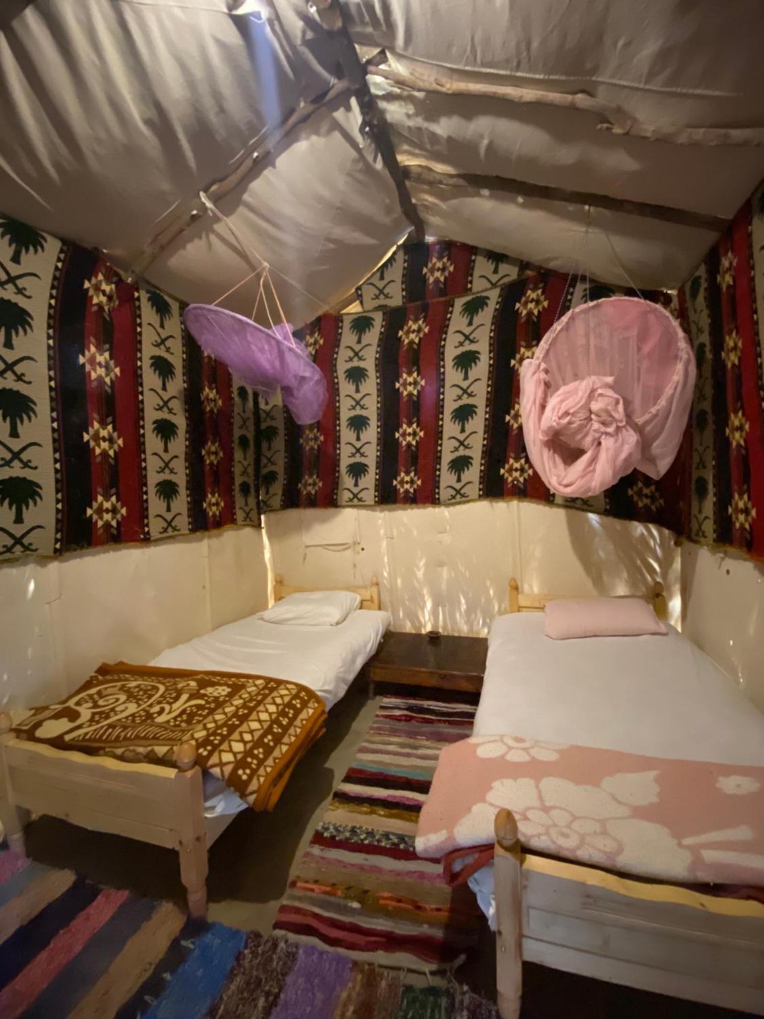Forest Camp Siwa - كامب الغابة Siwa Oasis Exterior photo