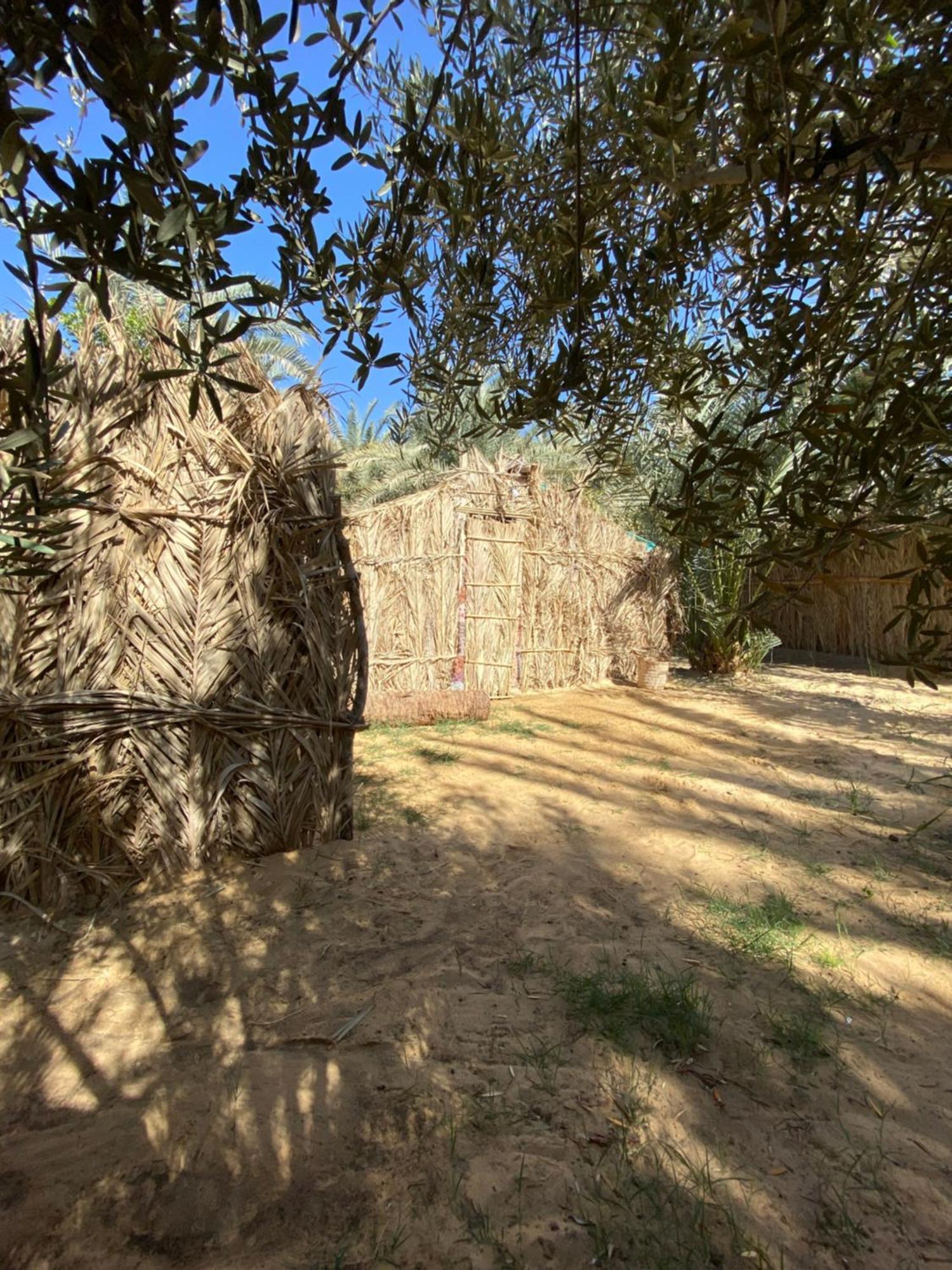Forest Camp Siwa - كامب الغابة Siwa Oasis Exterior photo