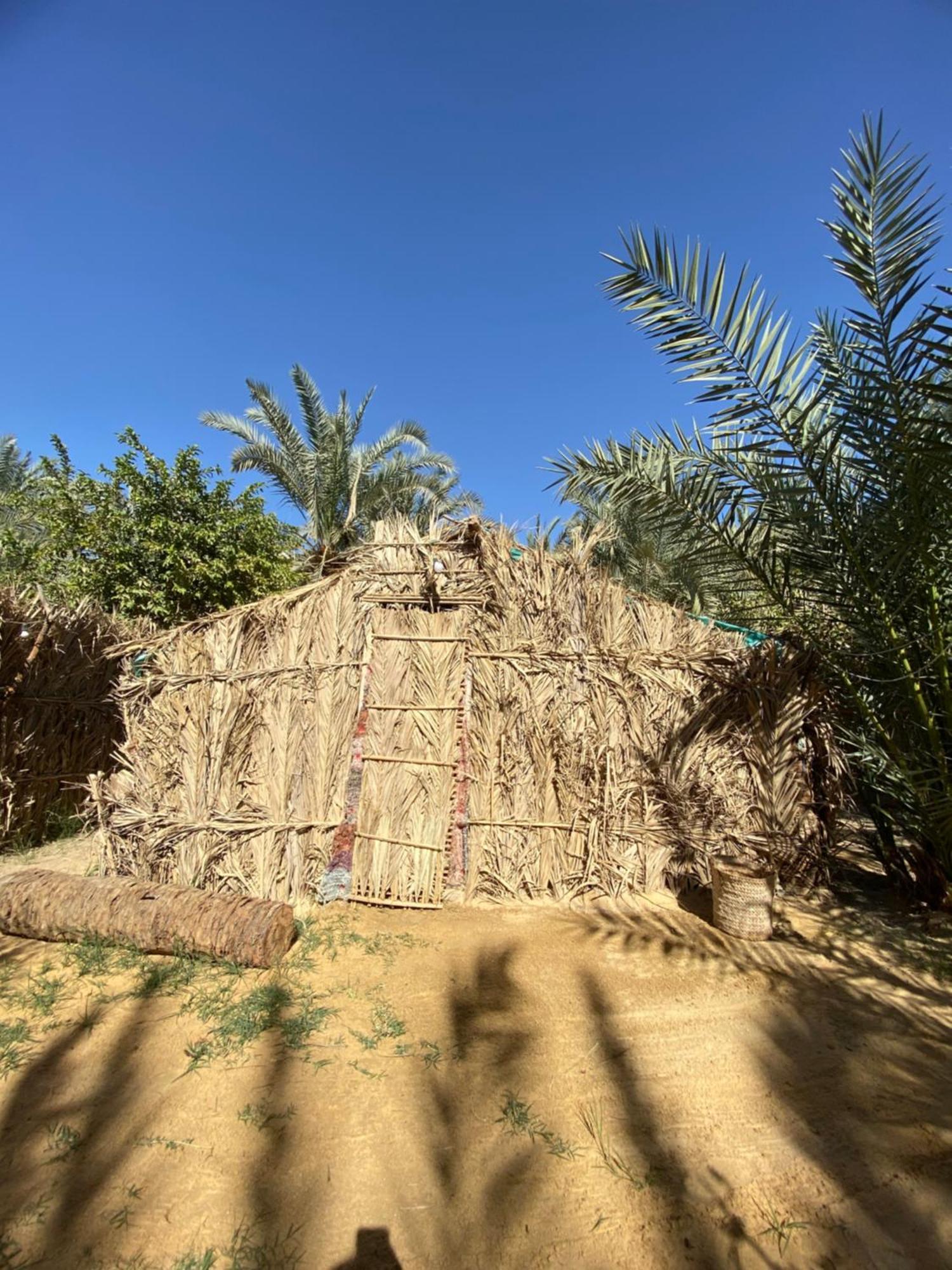 Forest Camp Siwa - كامب الغابة Siwa Oasis Exterior photo