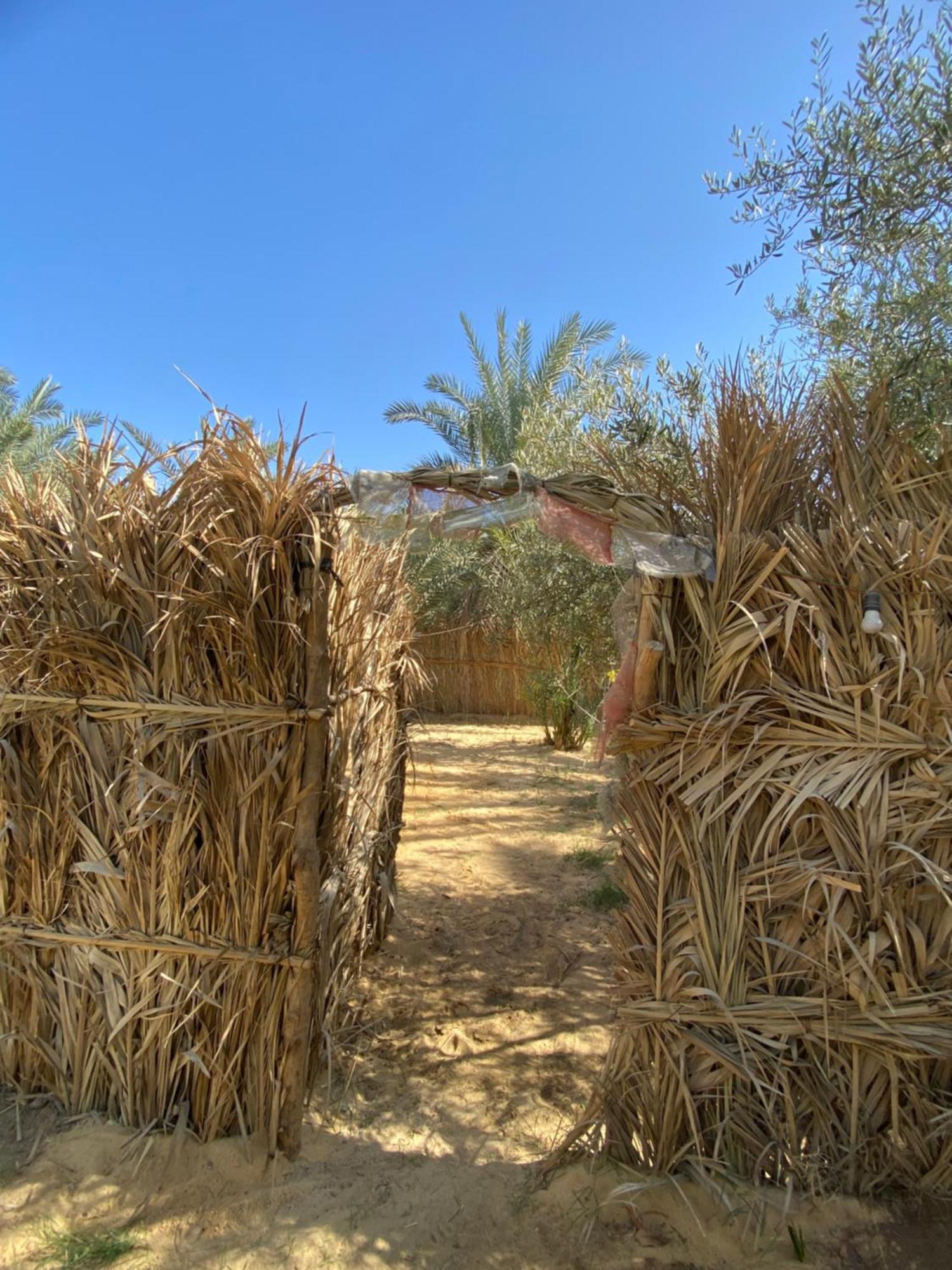 Forest Camp Siwa - كامب الغابة Siwa Oasis Exterior photo